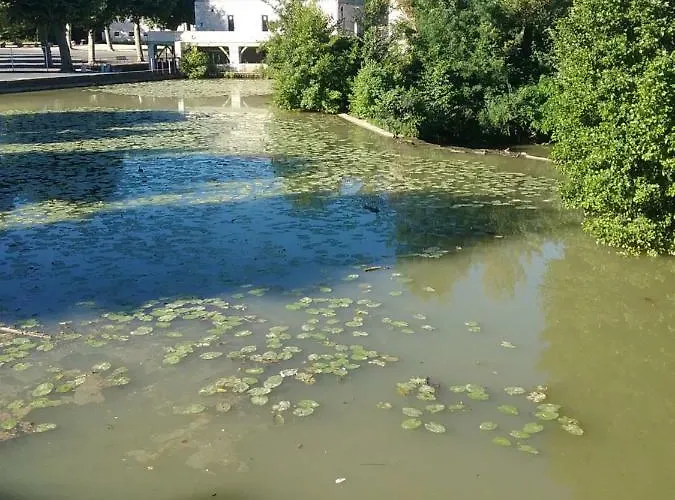 Bed & Breakfast Chateau De Pile - *